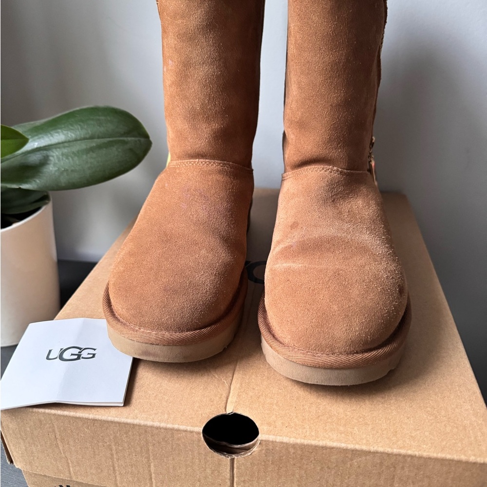 UGG Chestnut Suede Boots